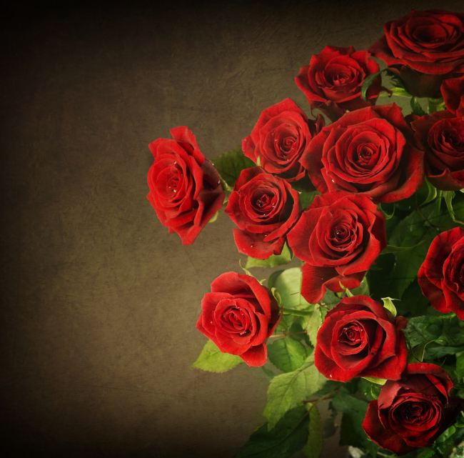 求婚送几朵玫瑰花代表的含义