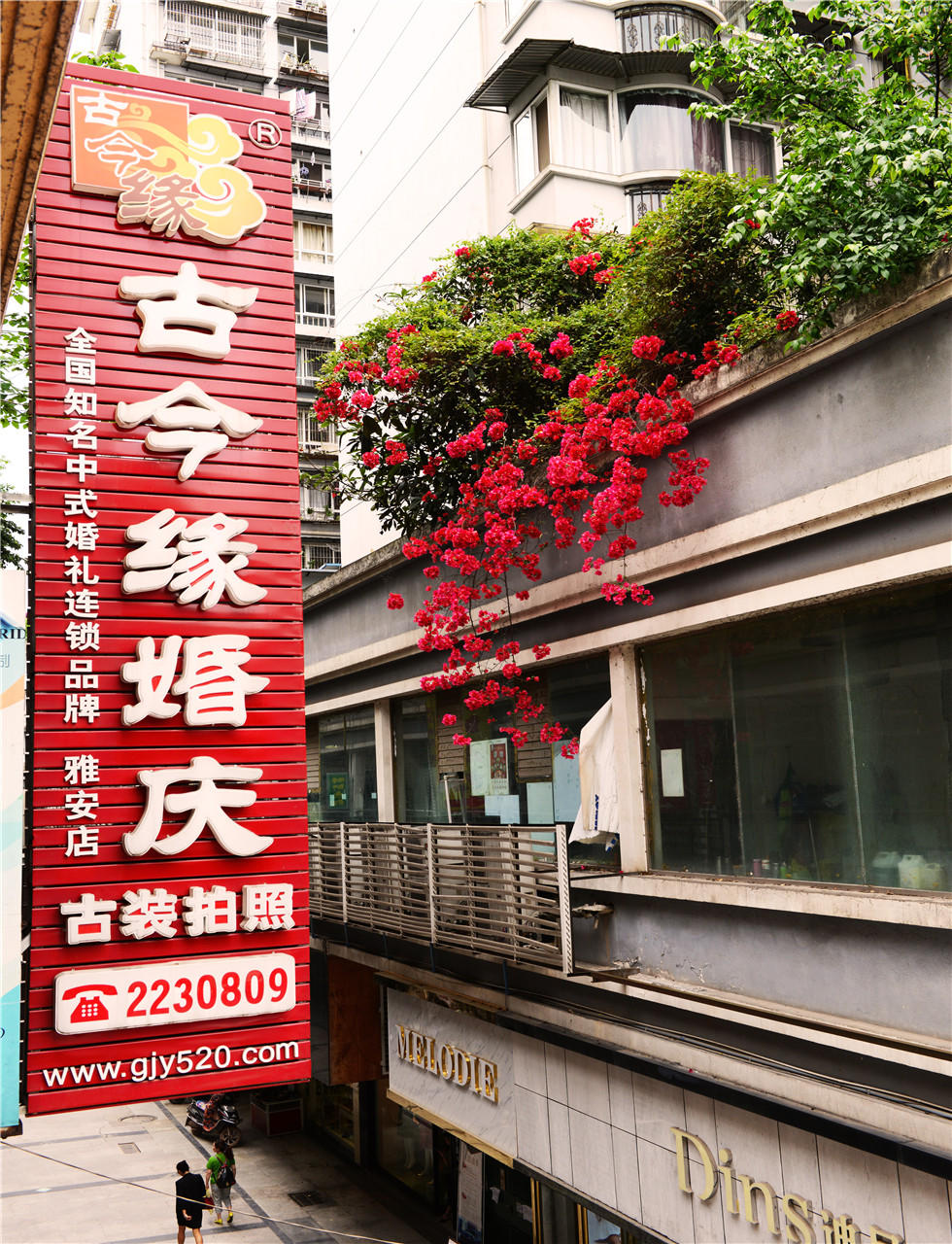 古今缘婚庆（雅安店）