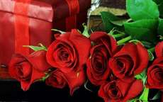 送女友十九朵玫瑰代表什么含义