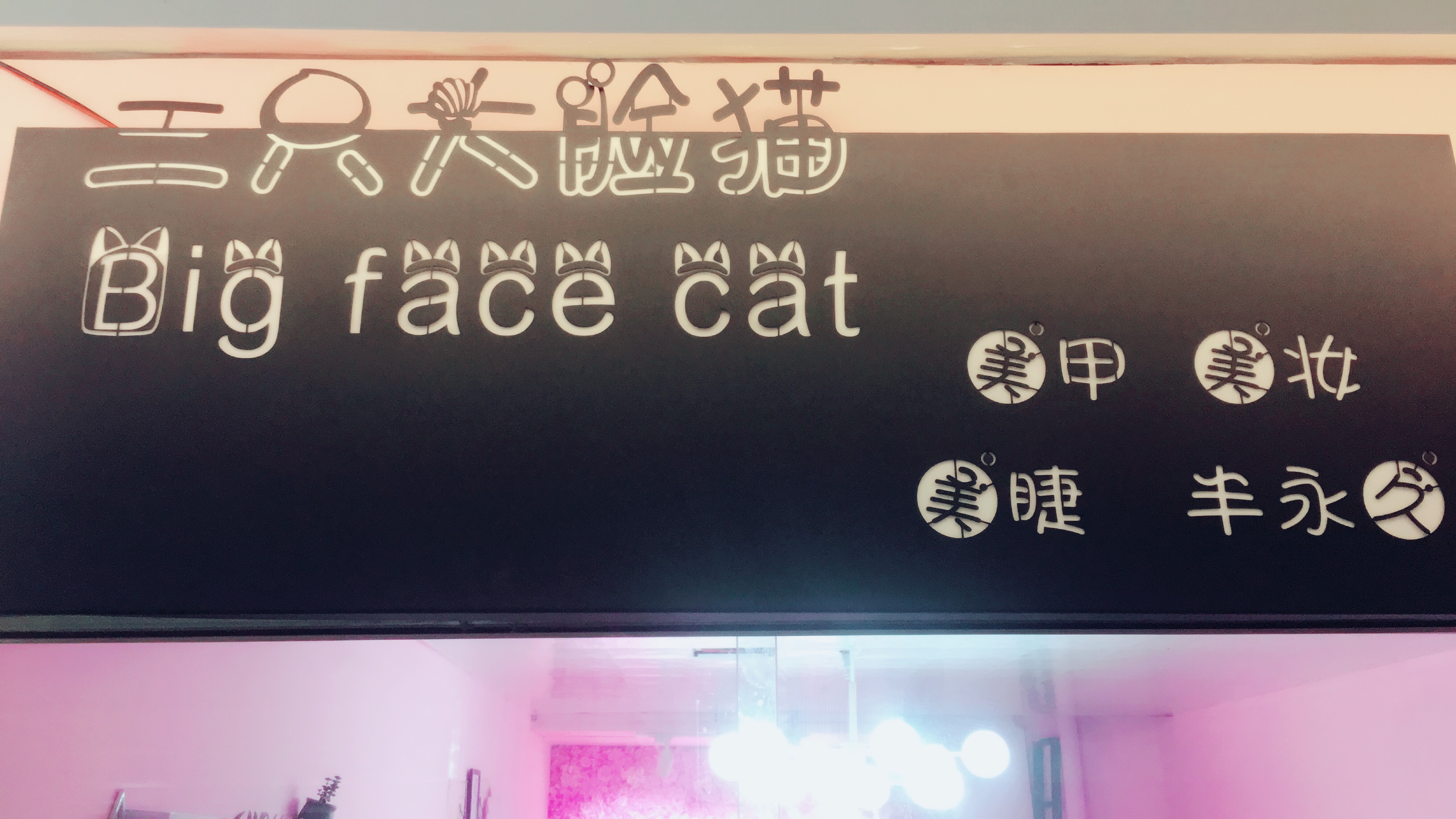 大脸猫美妆