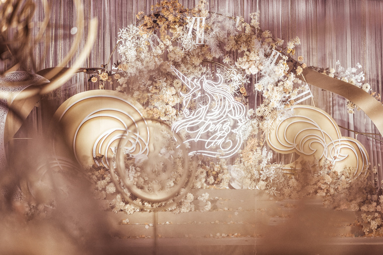 合肥8090婚庆 独角兽梦幻风婚礼