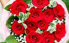 求婚送11朵玫瑰花的含义