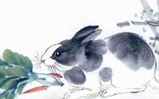 兔和兔相配婚姻会幸福吗