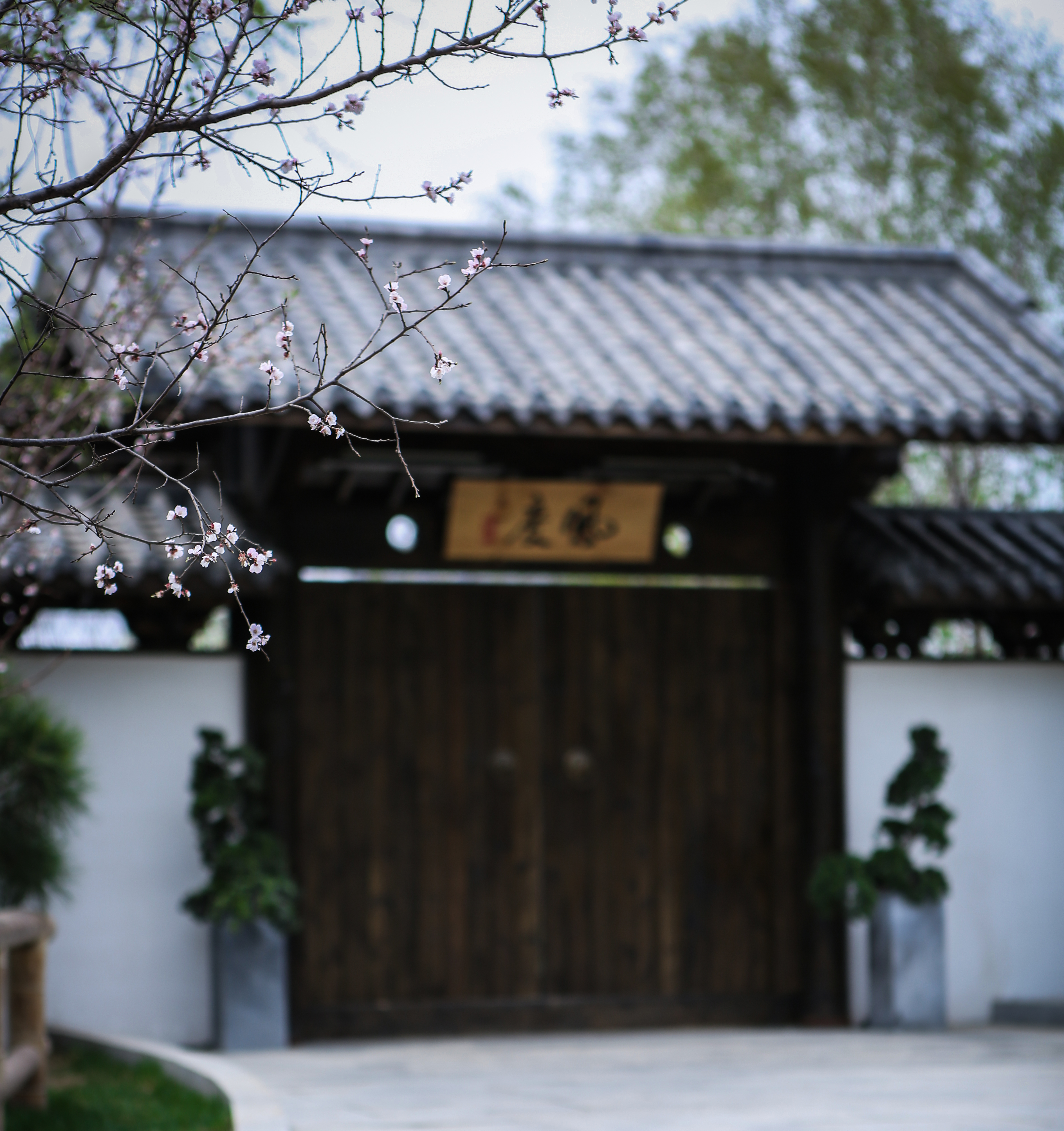 长春风度影社