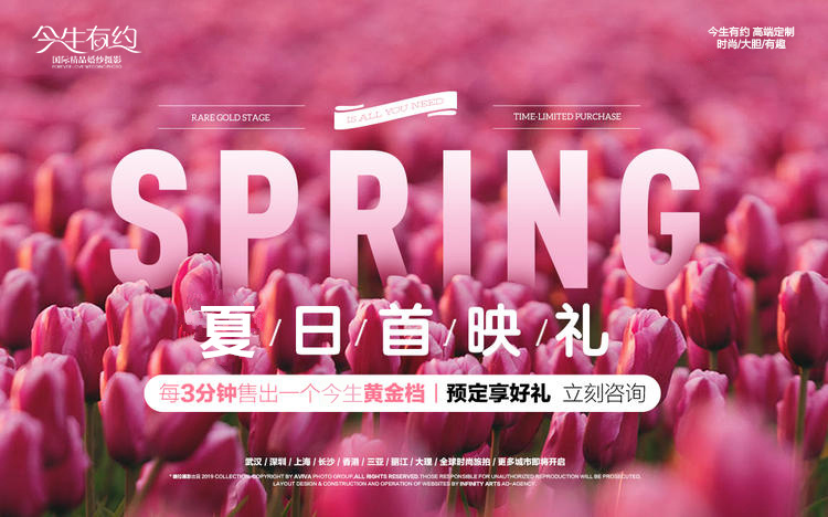 VIP私人定制+婚纱照必拍榜+应季特色主题