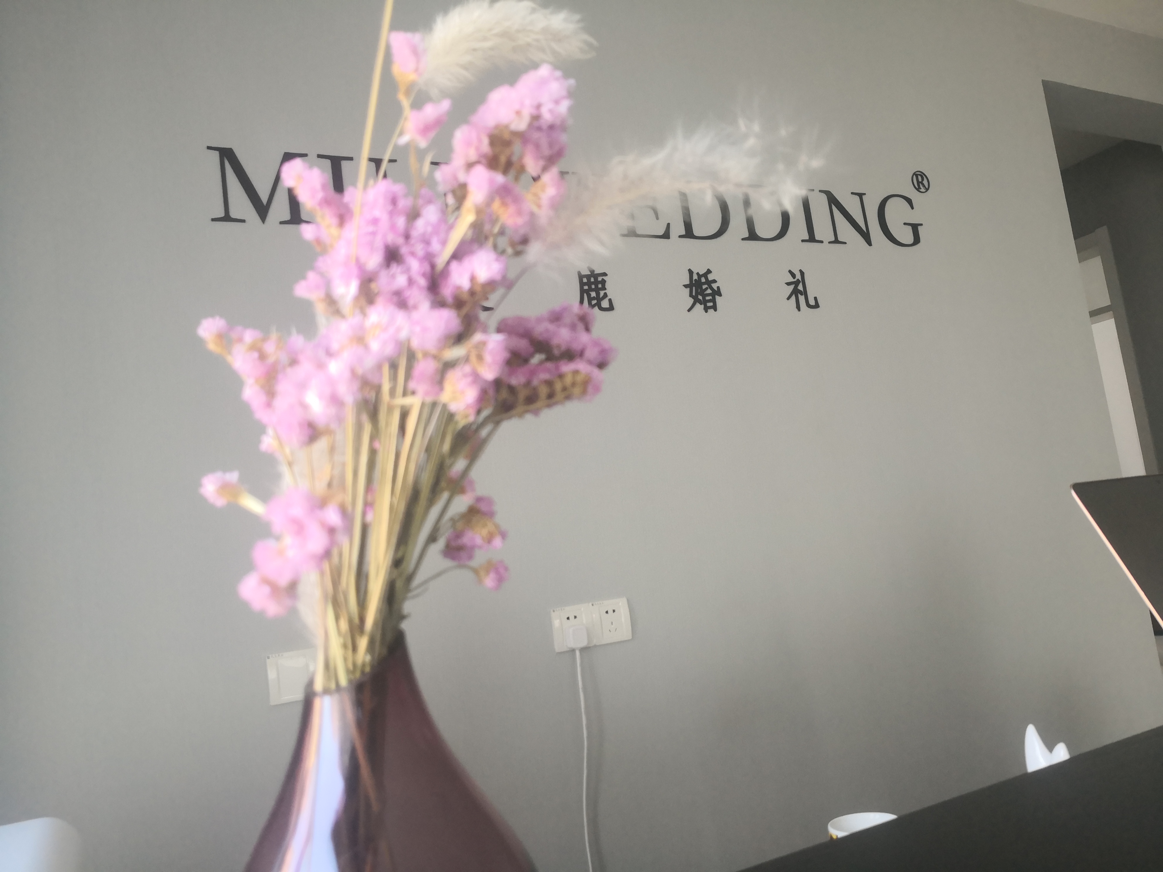 麋鹿私人婚礼定制