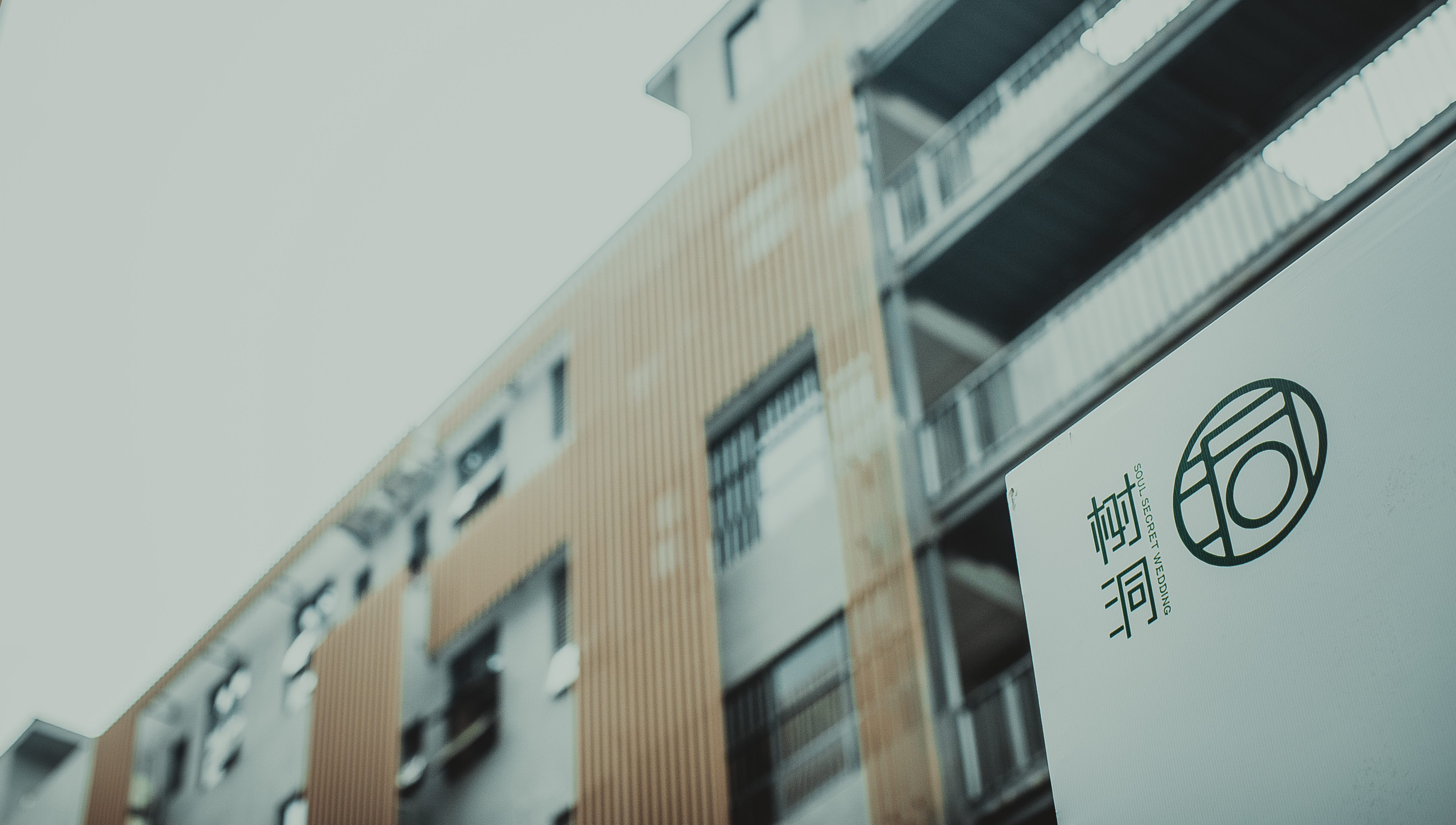 树洞婚礼（宝安店）