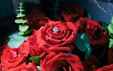 求婚要用多少朵玫瑰花 求婚还要准备什么