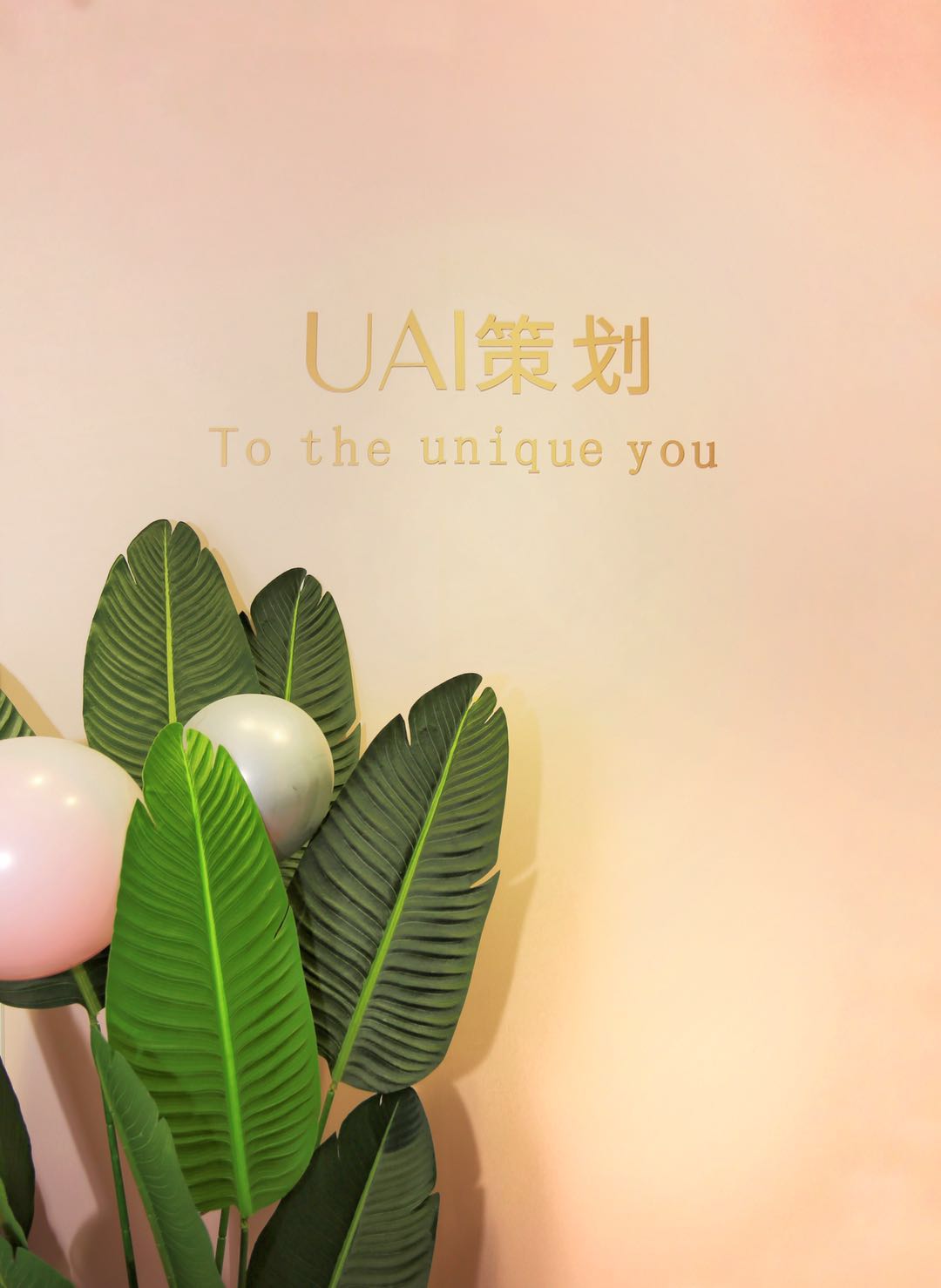 大连UAI策划