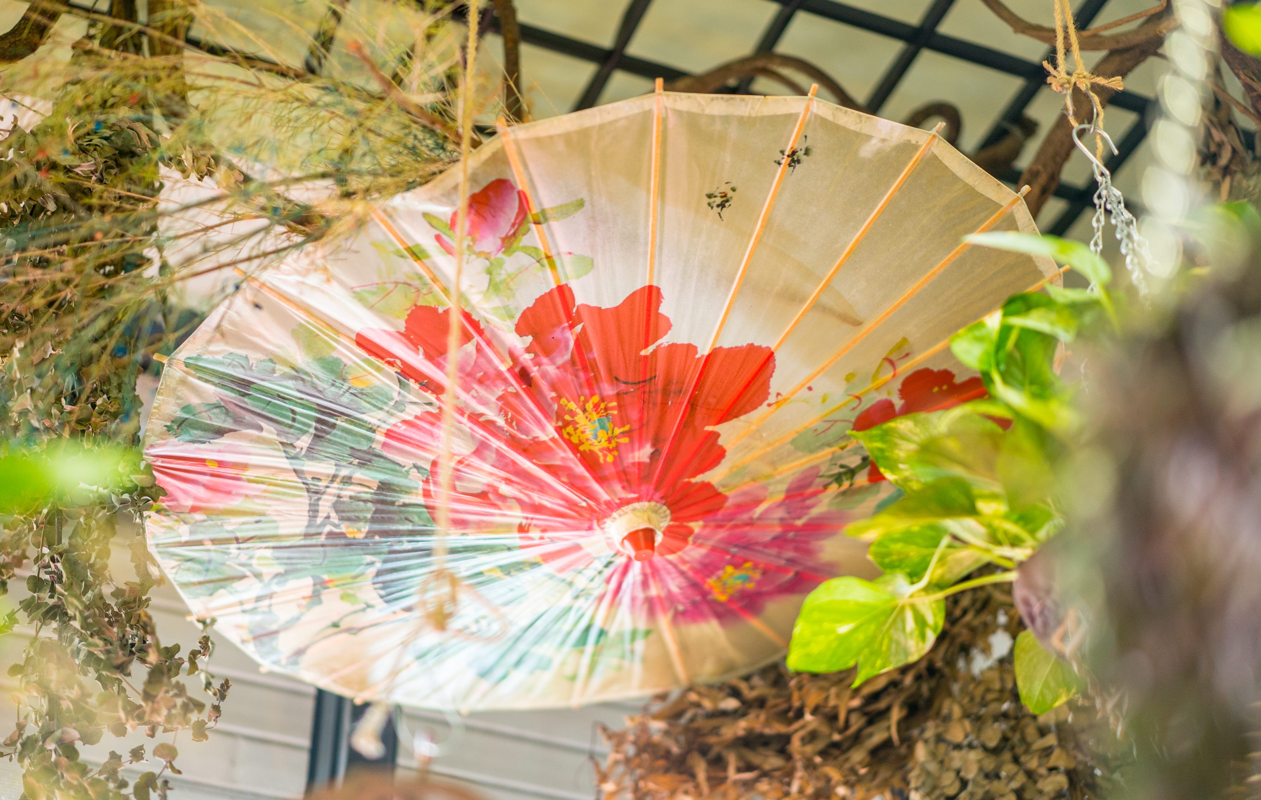 花谷