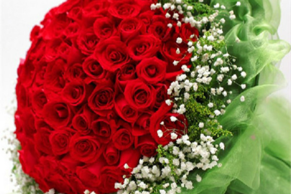 求婚用多少朵玫瑰花 不同数量的玫瑰花代表着什么含义