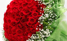 求婚用多少朵玫瑰花 不同数量的玫瑰花代表着什么含义