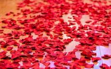 婚房卧室布置用鲜花更浪漫