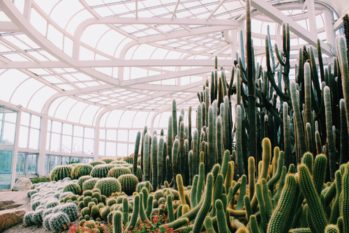 厦门婚纱照景点图片 厦门婚纱照最美景点前十名