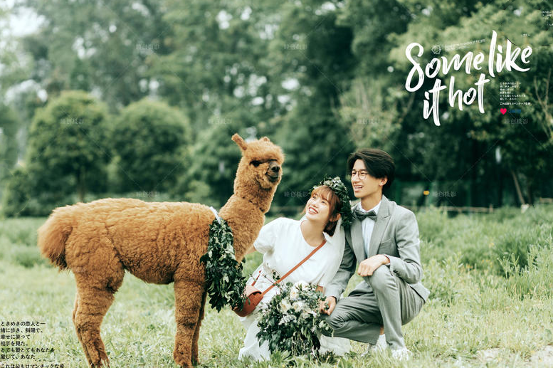 成都旅拍婚纱照哪家好