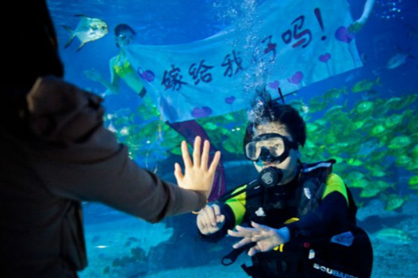 浪漫求婚图片 世界上最浪漫的十大求婚地点