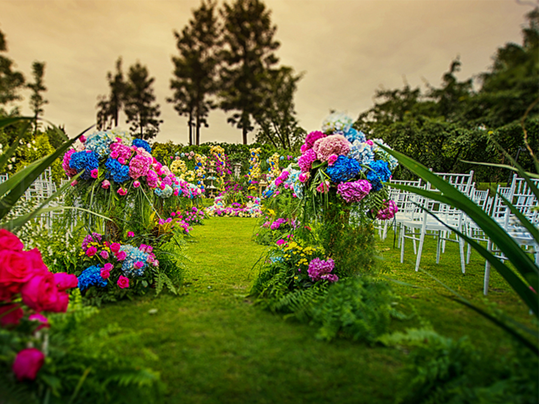 【花园】复古小清新/自然风