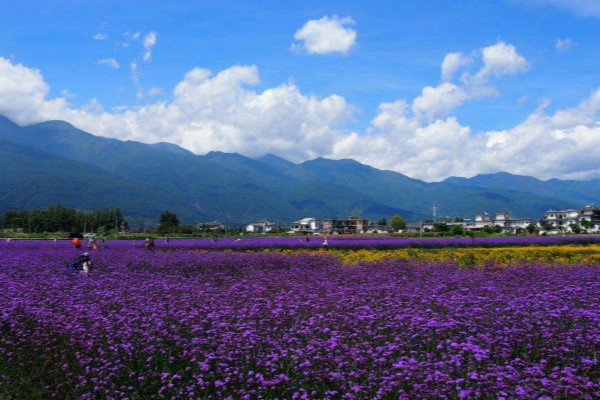 大理婚纱照去哪里拍最好看