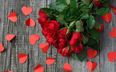 求婚用19朵玫瑰花代表什么意思 数字19的含义是什么