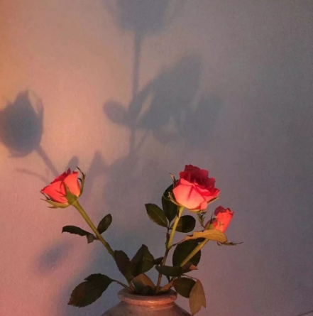 老公生日祝福语幽默精选50则