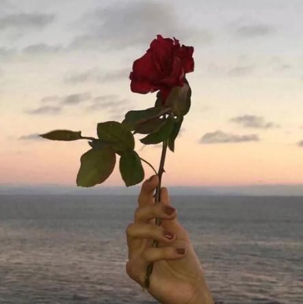 女朋友生日发多少红包好 红包情话怎么发