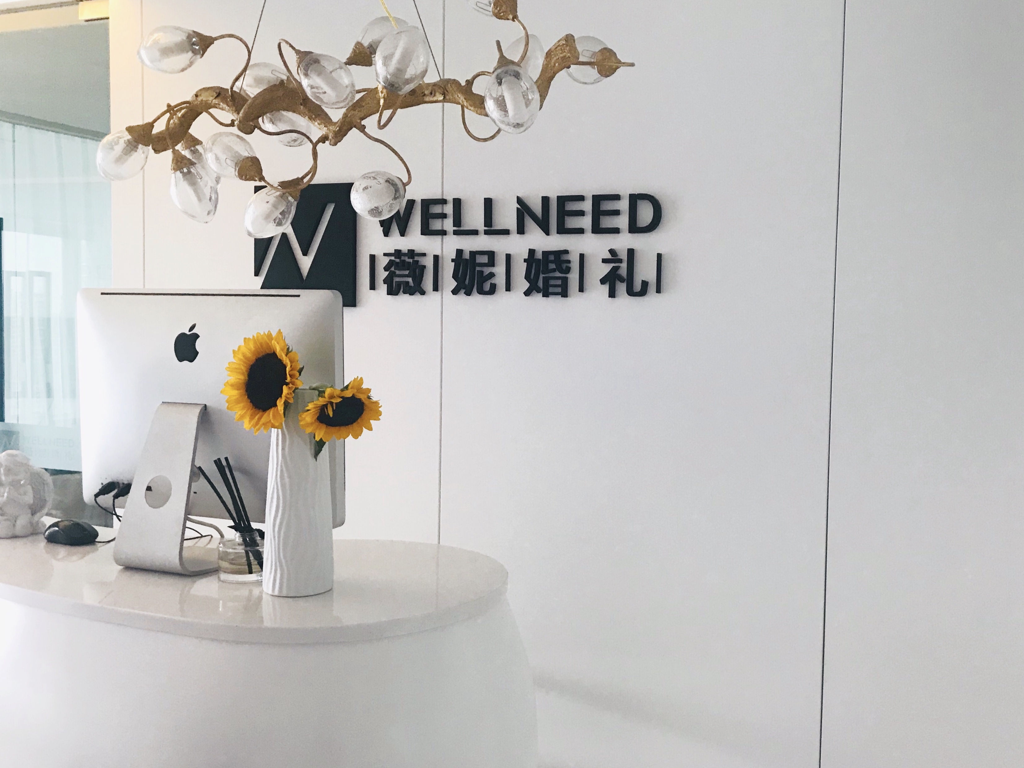 WellNeed 薇妮婚礼定制
