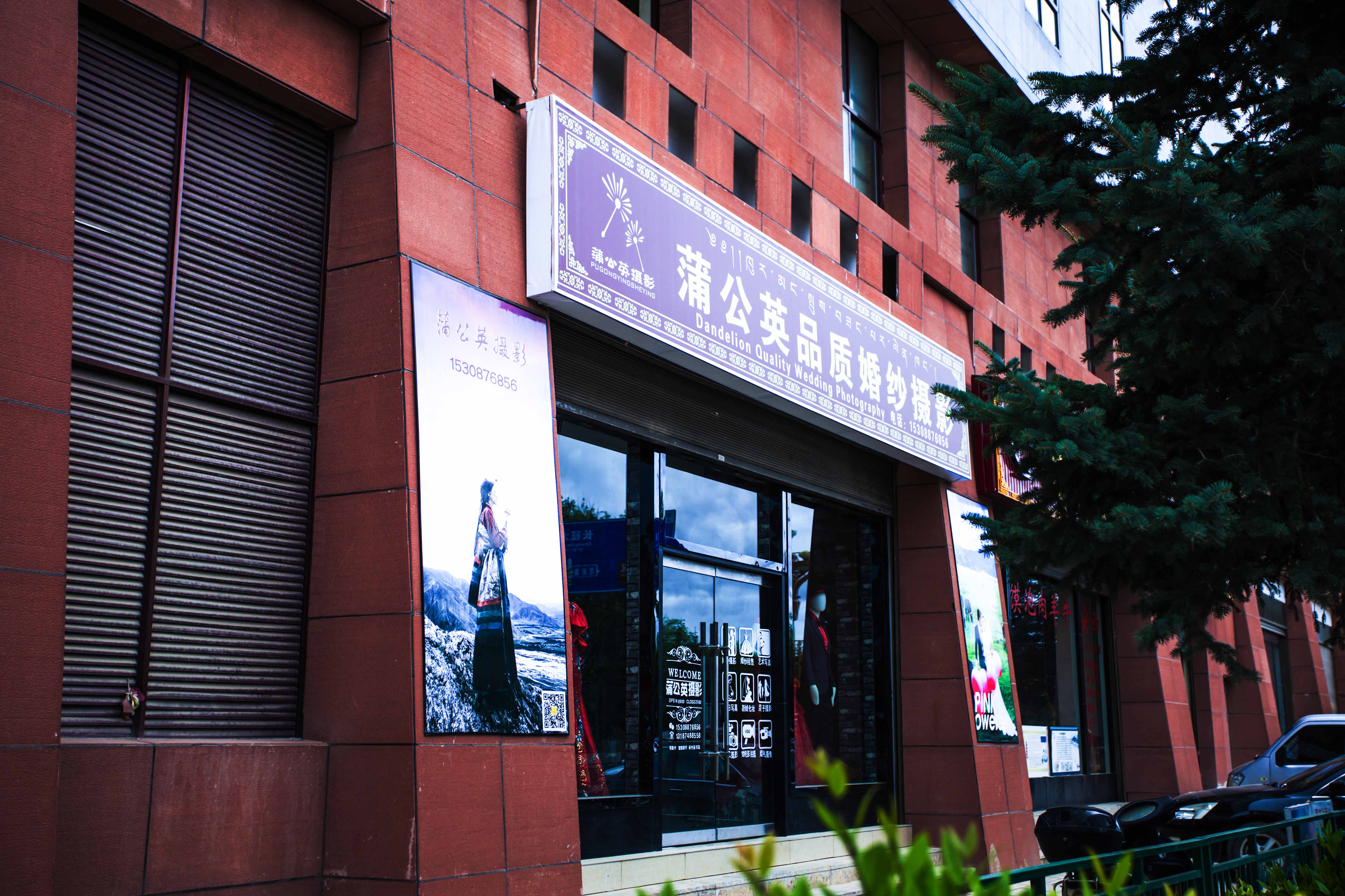 香格里拉蒲公英品质婚纱摄影