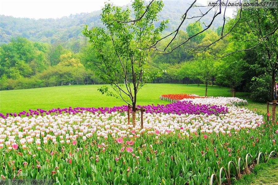 杭州哪里拍婚纱照好 杭州婚纱照取景地Top5