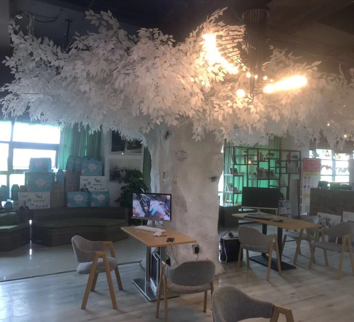 纯白婚纱摄影（全球旅拍店）