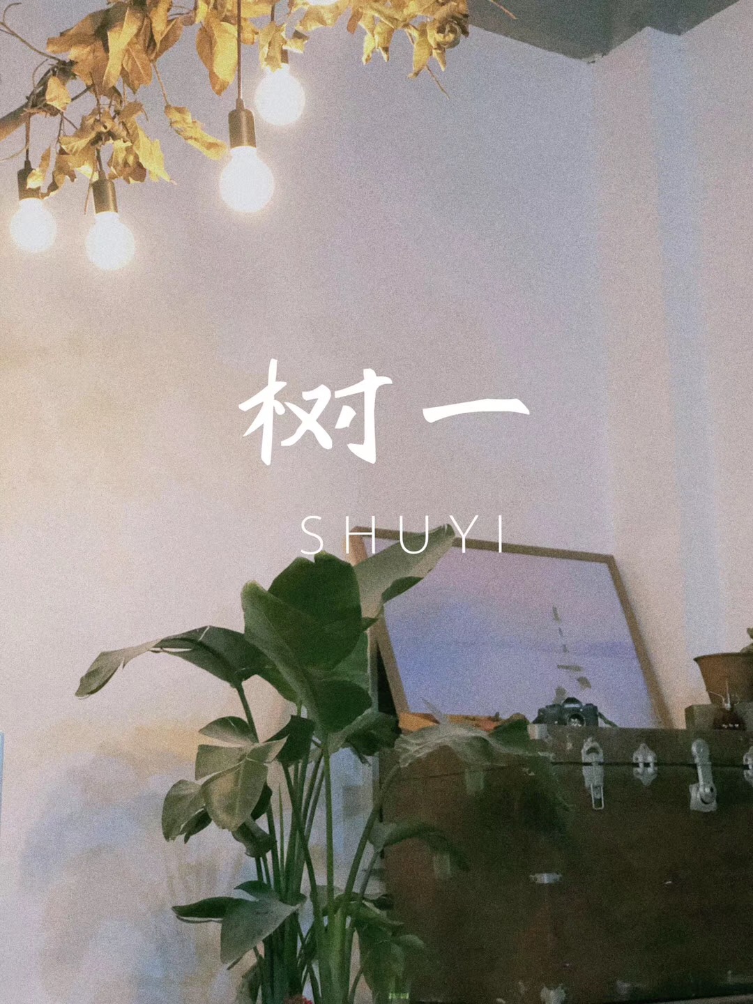 树一婚纱摄影工作室