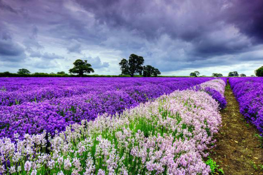 大连旅拍婚纱照可以选择哪些地方 旅拍的注意事项