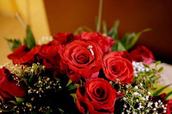 33朵玫瑰花代表什么意思 求婚用33朵玫瑰花合适吗