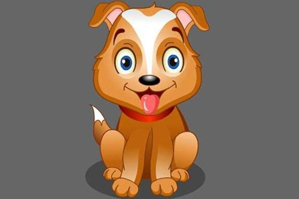 生肖狗和什么生肖配,属狗和属狗的适合做夫妻吗