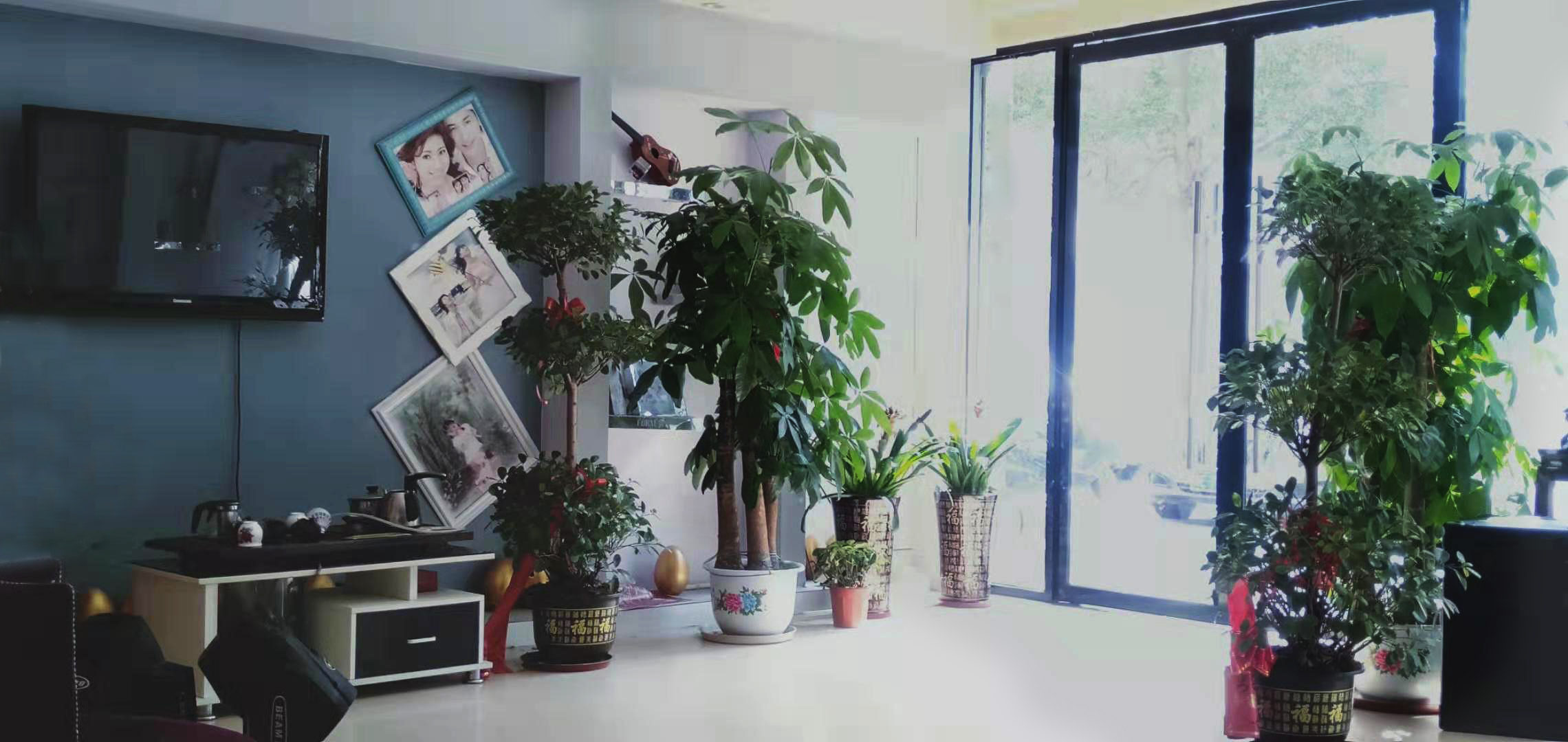 武冈精典婚礼