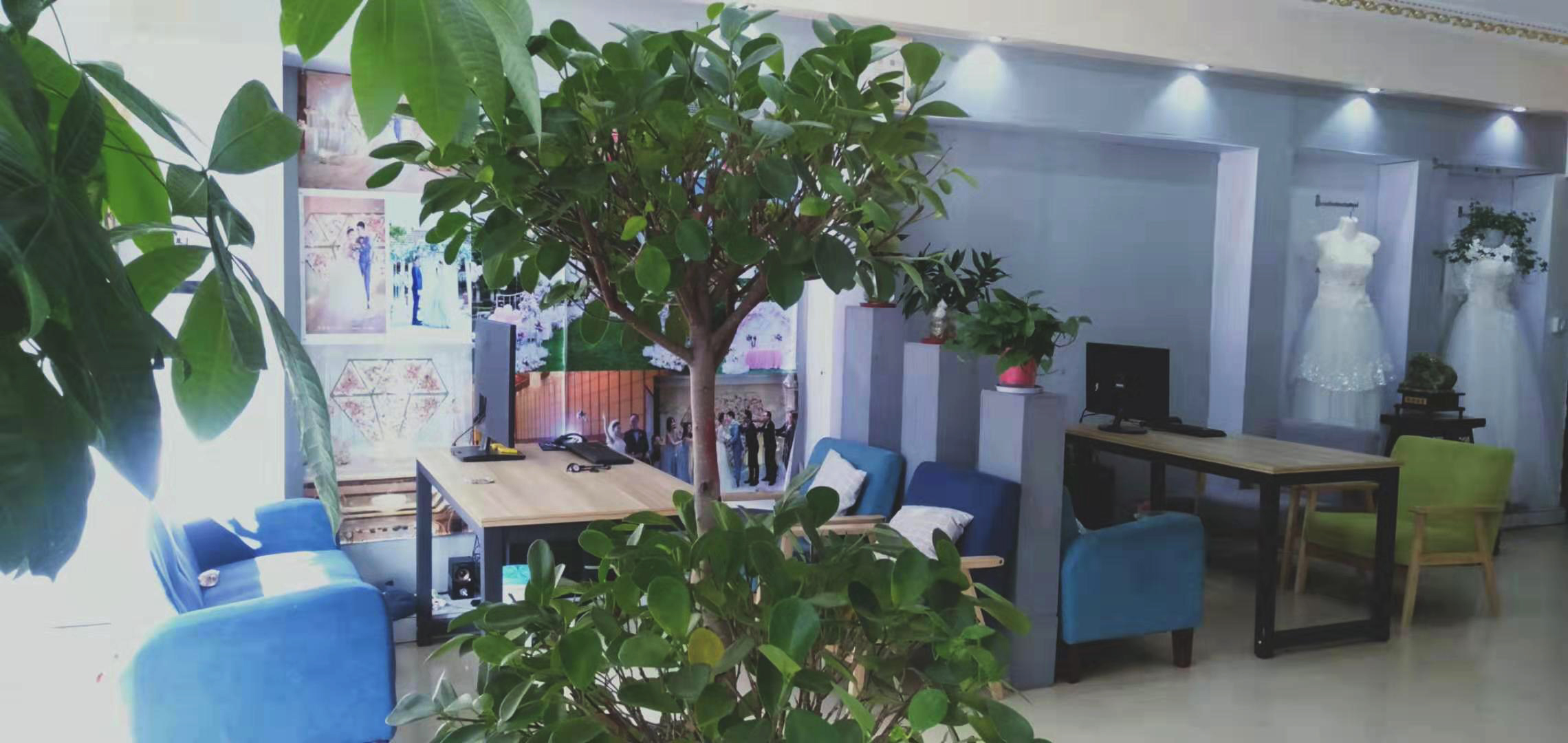 武冈精典婚礼