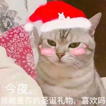 圣诞猫咪表情包