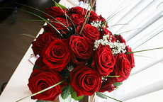 求婚送33朵玫瑰代表什么寓意