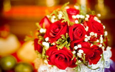 求婚时不同玫瑰数量代表的含义