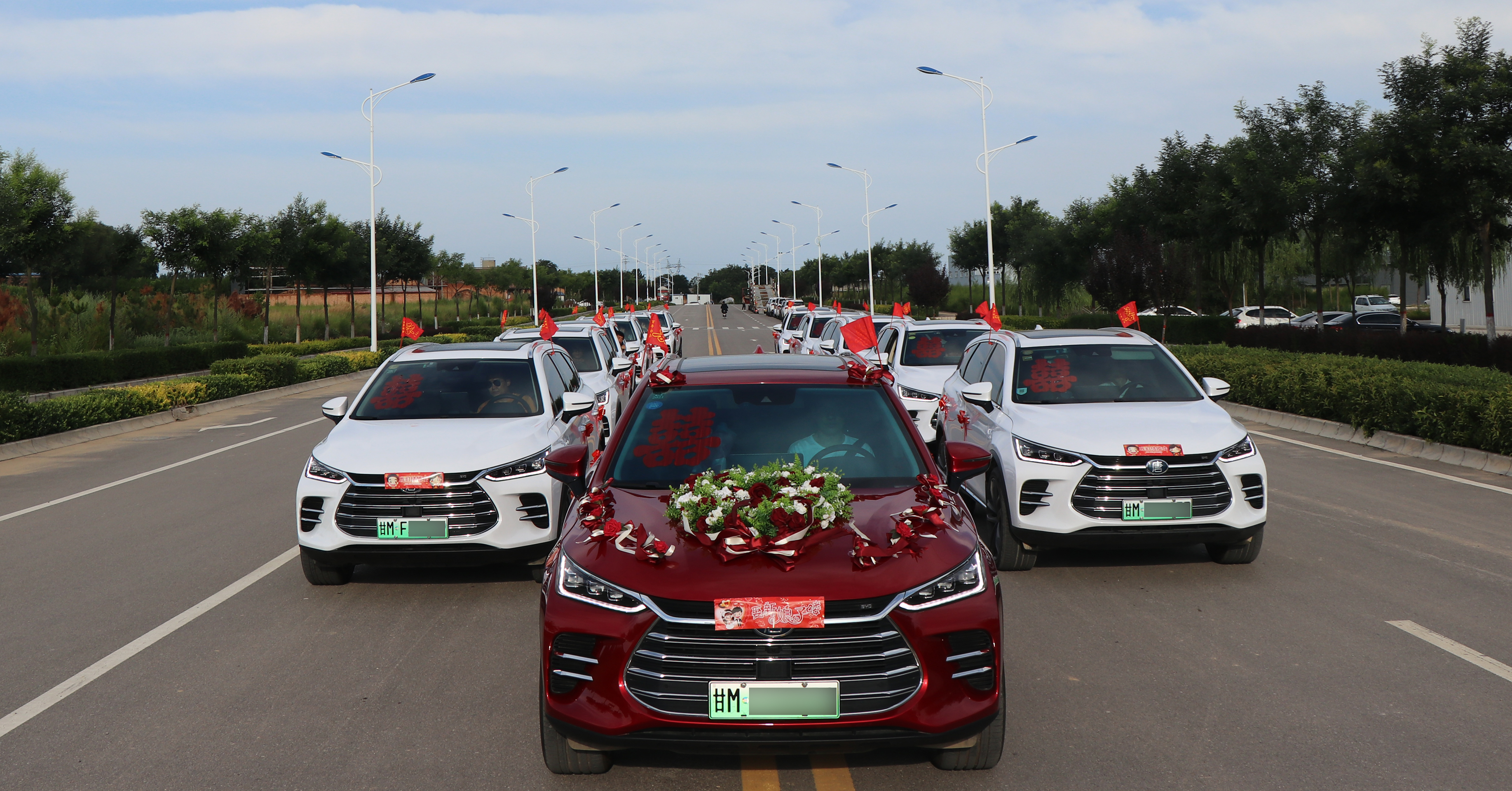 【比亚迪】新能源-唐-红色X1辆 + 【比亚迪】新能源-唐-白色x7辆