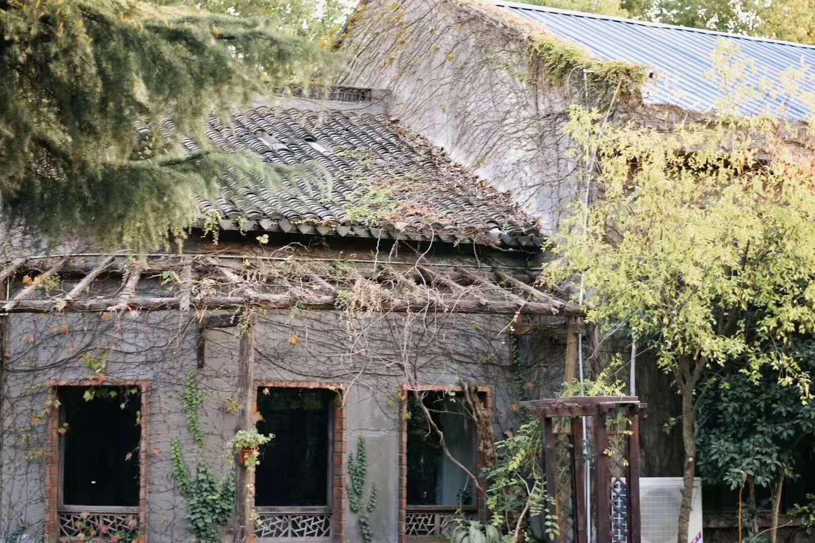 乐馨婚礼高端定制