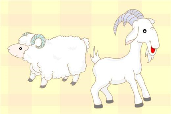 1991年兩個羊能結婚嗎   屬羊人和什么屬相配對比較好