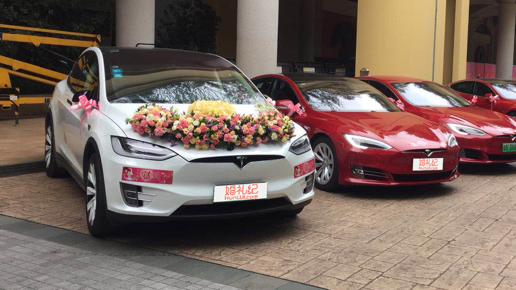 【特斯拉】ModelX鸥翼门