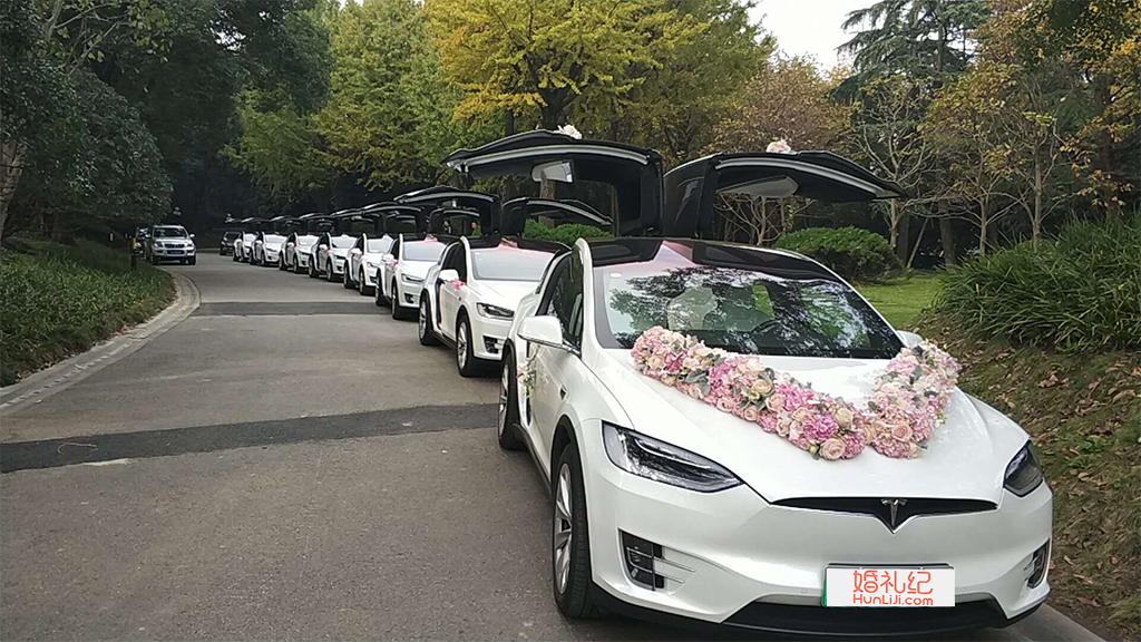 【特斯拉】ModelX鸥翼门