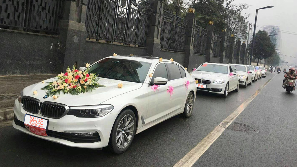 【特斯拉】Model3/1辆  + 【宝马】5系/5辆