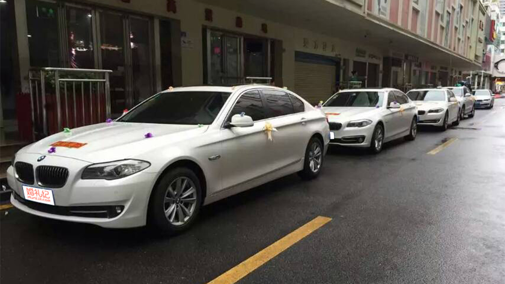 【特斯拉】Model3/1辆  + 【宝马】5系/5辆