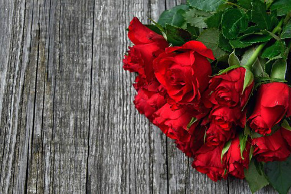 求婚要多少朵玫瑰花 求婚买多少朵玫瑰花最合适