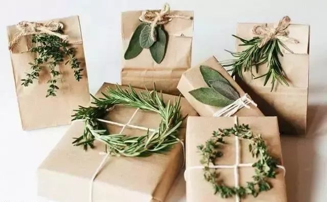 牛皮纸和绿色植物包装的礼物