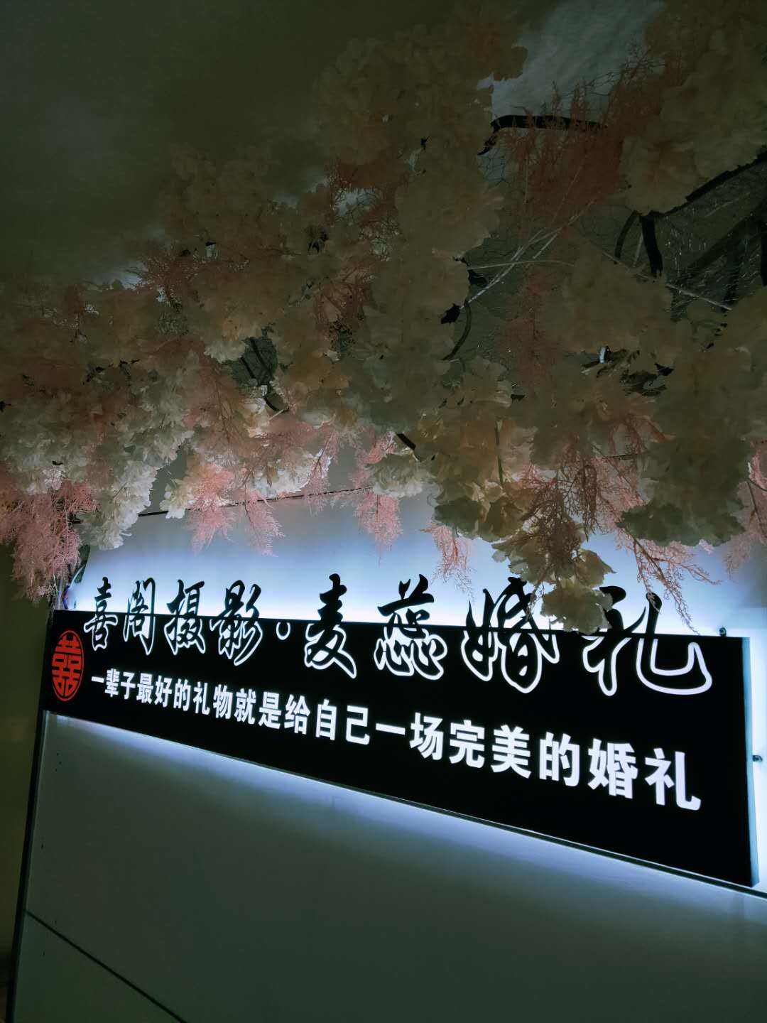 乐山亚庆文化传播