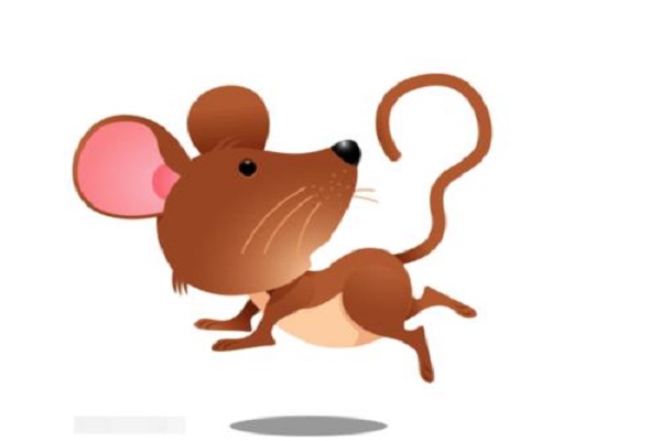 1960年屬鼠的是什么命 60年屬鼠一生中有幾個坎
