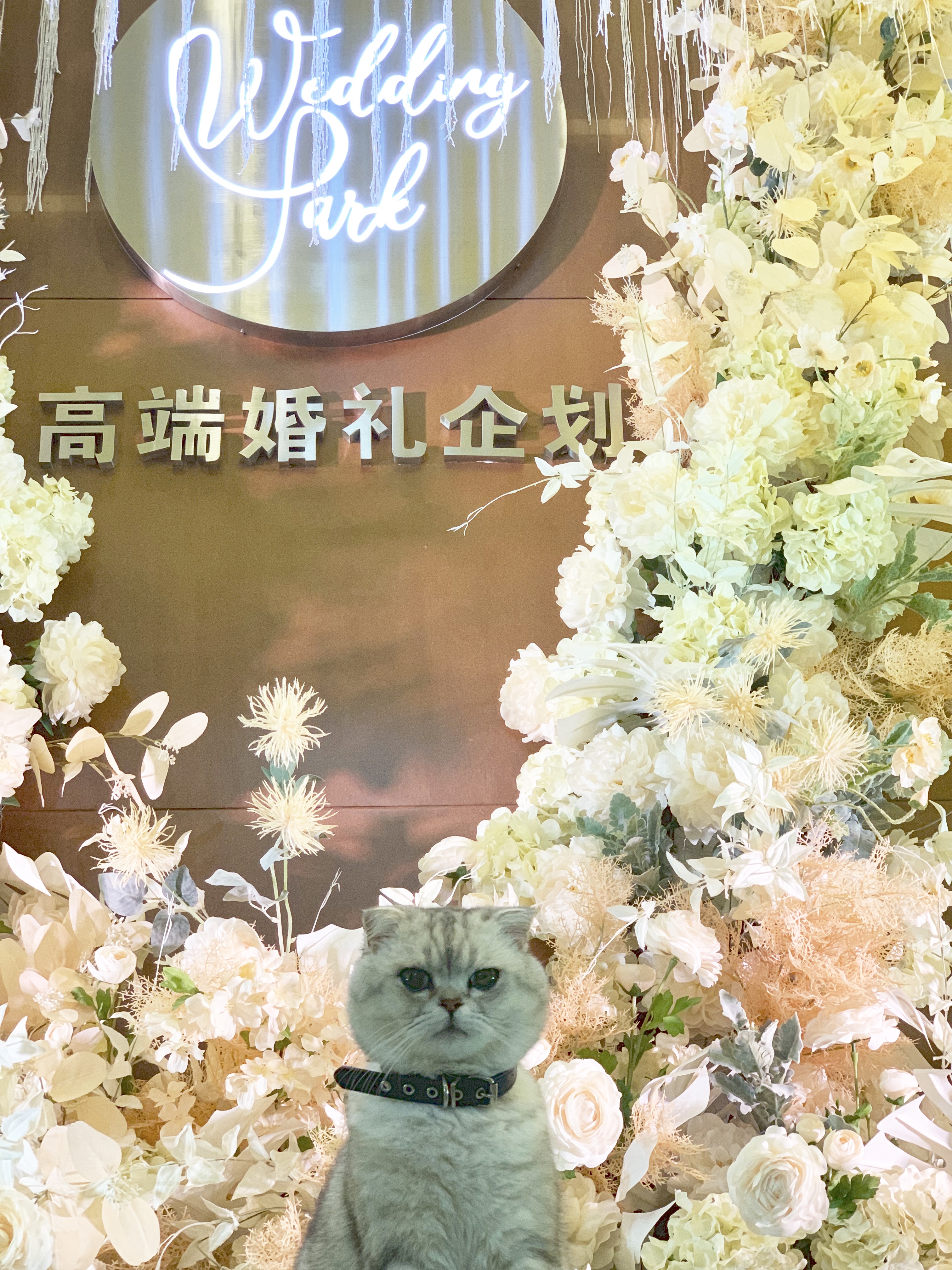 Wedding Park高端婚礼企划